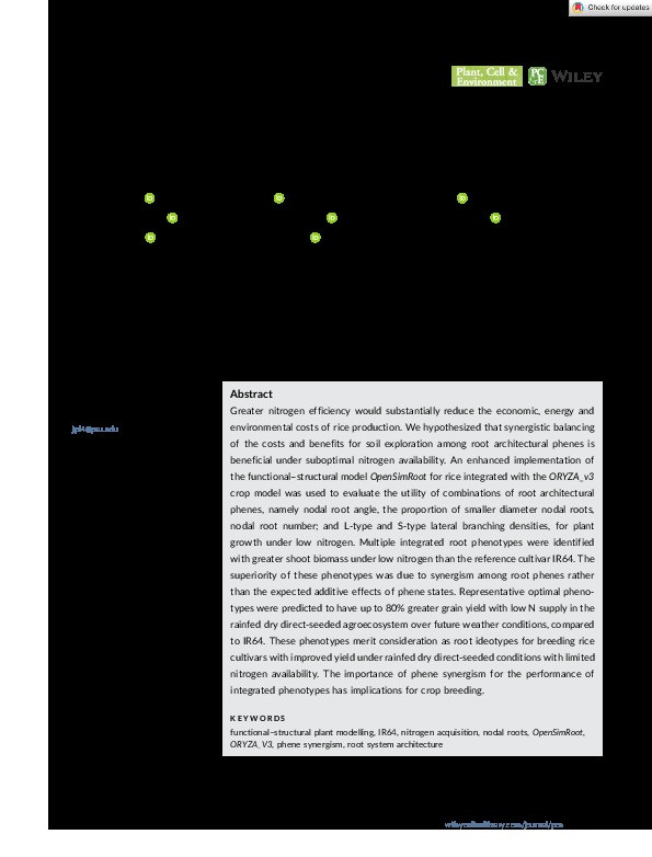 Integrated root phenotypes for improved rice performance under low nitrogen availability Thumbnail