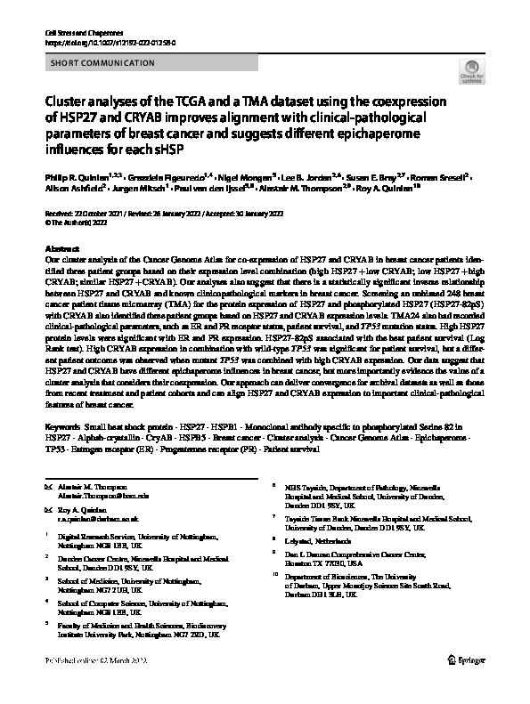 Cluster analyses of the TCGA and a TMA dataset using the coexpression of HSP27 and CRYAB improves alignment with clinical-pathological parameters of breast cancer and suggests different epichaperome influences for each sHSP Thumbnail