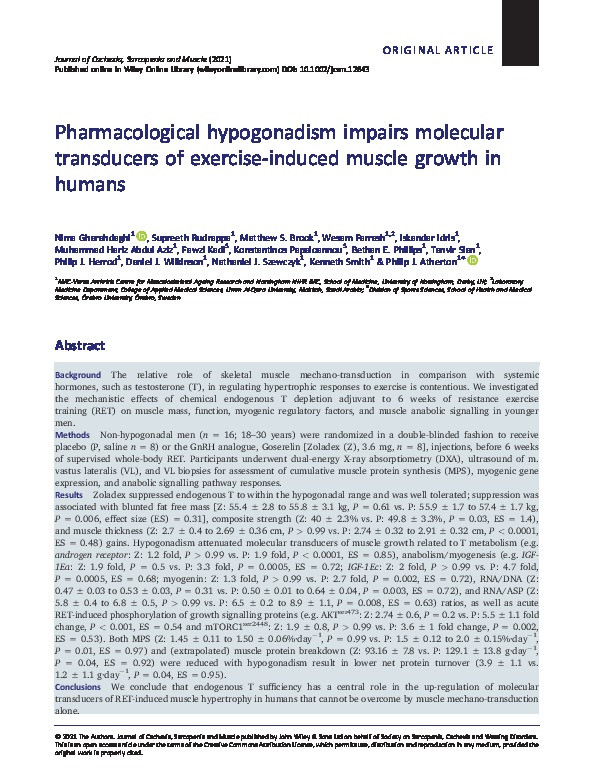 Pharmacological hypogonadism impairs molecular transducers of exercise-induced muscle growth in humans Thumbnail