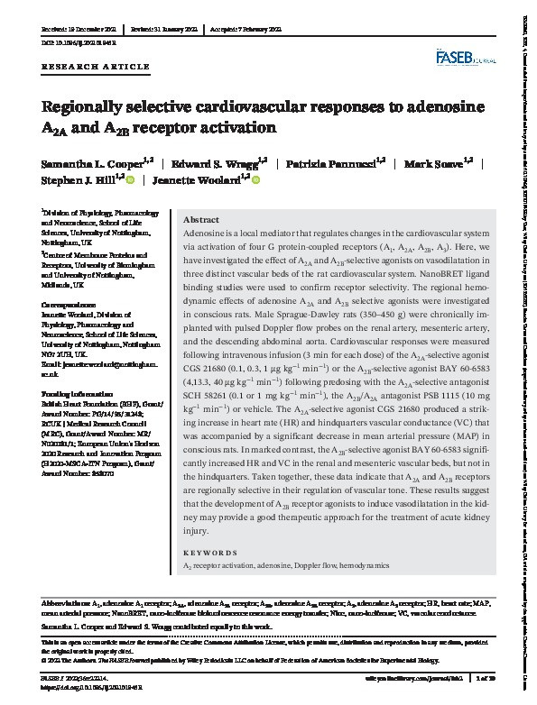 Regionally selective cardiovascular responses to adenosine A2A and A2B receptor activation Thumbnail
