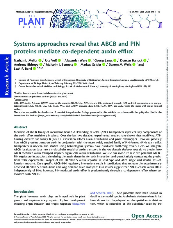 Systems approaches reveal that ABCB and PIN proteins mediate co-dependent auxin efflux Thumbnail