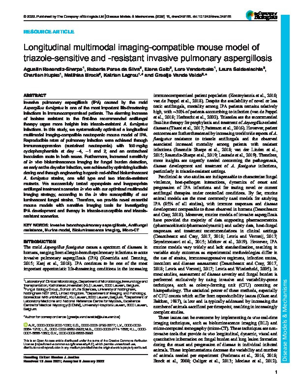 Longitudinal multimodal imaging-compatible mouse model of triazole-sensitive and -resistant invasive pulmonary aspergillosis Thumbnail