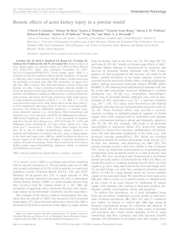 Remote effects of acute kidney injury in a porcine model Thumbnail