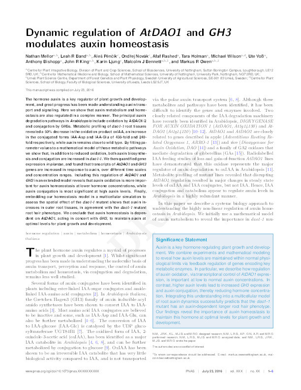 Dynamic regulation of auxin oxidase and conjugating enzymes AtDAO1 and GH3 modulates auxin homeostasis Thumbnail