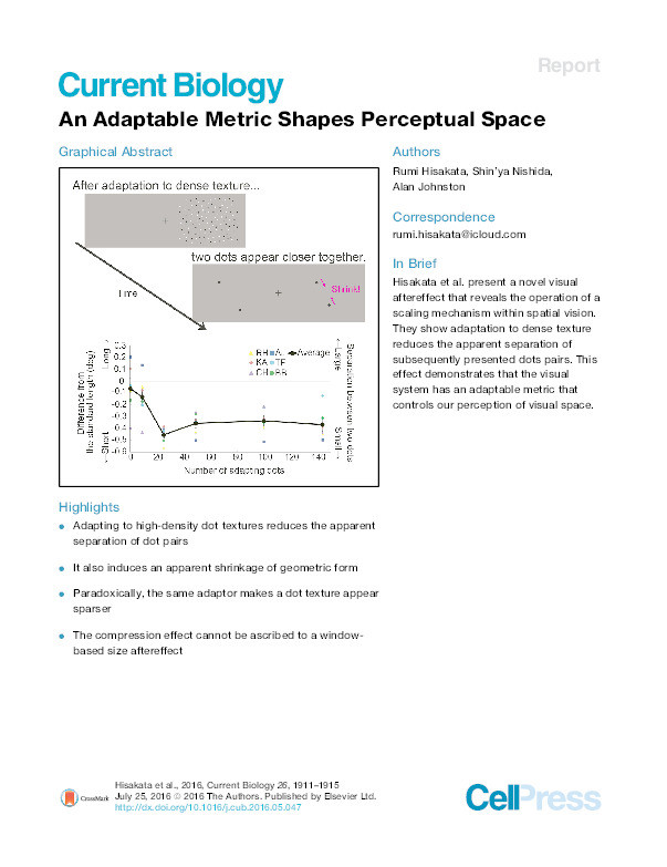 An adaptable metric shapes perceptual space Thumbnail