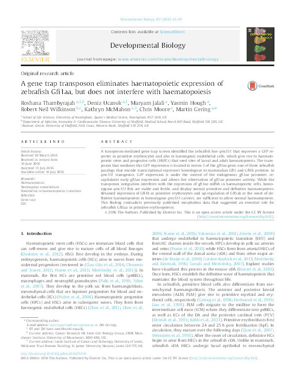 A gene trap transposon eliminates haematopoietic expression of zebrafish Gfi1aa, but does not interfere with haematopoiesis Thumbnail