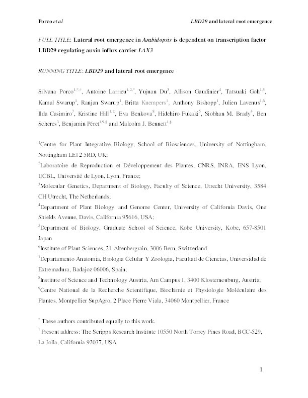 Lateral root emergence in Arabidopsis is dependent on transcription factor LBD29 regulation of auxin influx carrier LAX3 Thumbnail