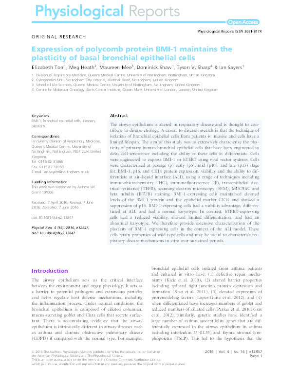 Expression of polycomb protein BMI-1 1 maintains the plasticity of basal 2 bronchial epithelial cells Thumbnail