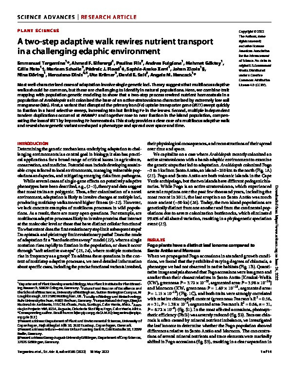 A two-step adaptive walk rewires nutrient transport in a challenging edaphic environment Thumbnail