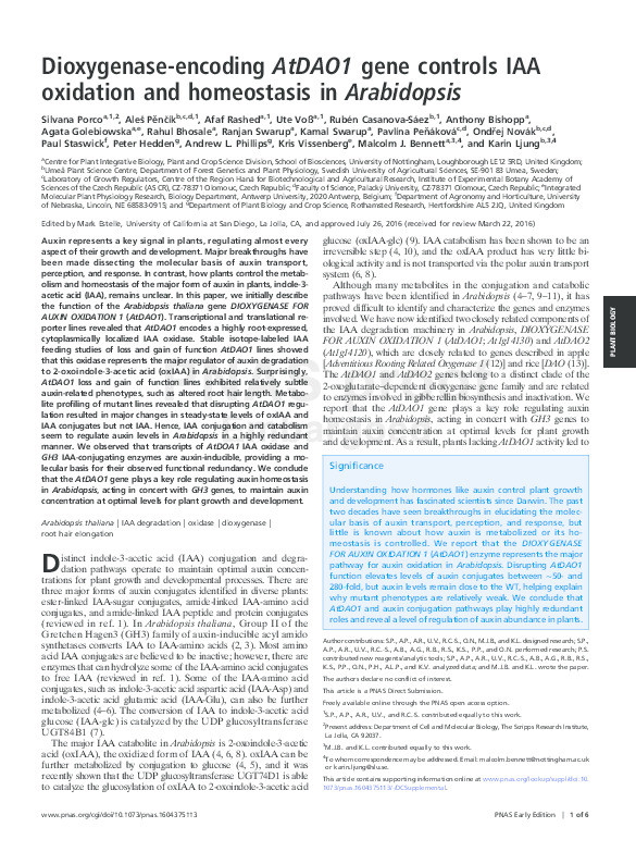 Dioxygenase-encoding AtDAO1 gene controls IAA oxidation and homeostasis in arabidopsis Thumbnail