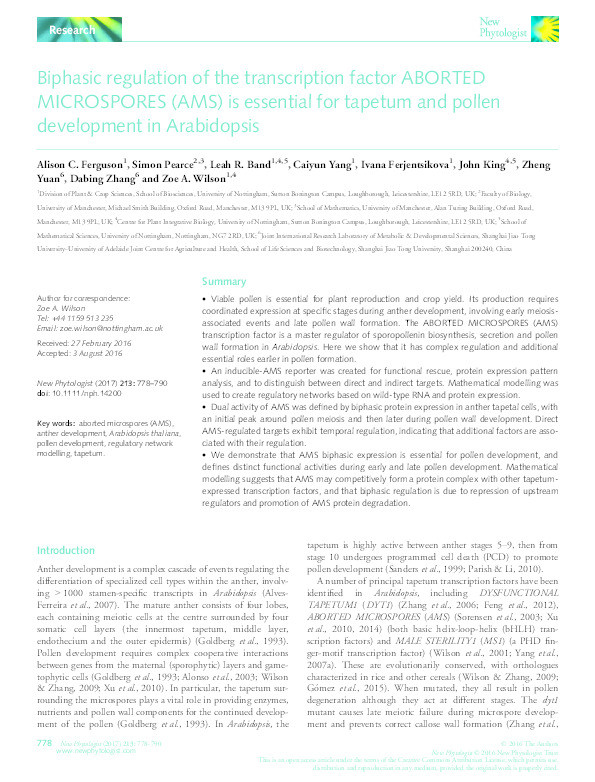 Biphasic regulation of the transcription factor ABORTED MICROSPORES (AMS) is essential for tapetum and pollen development in Arabidopsis Thumbnail