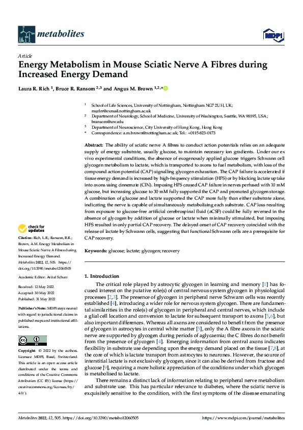 Energy Metabolism in Mouse Sciatic Nerve A Fibres during Increased Energy Demand Thumbnail