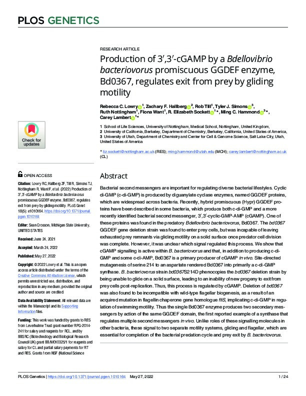 Production of 3′,3′-cGAMP by a Bdellovibrio bacteriovorus promiscuous GGDEF enzyme, Bd0367, regulates exit from prey by gliding motility Thumbnail