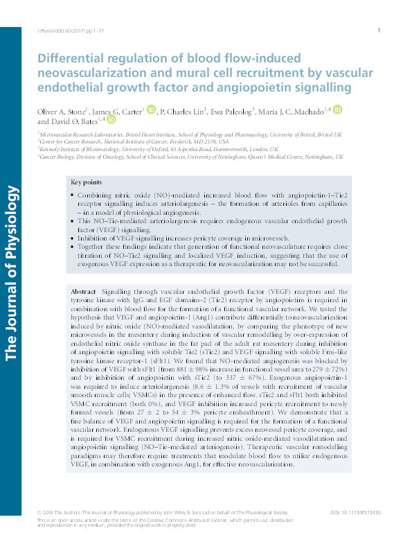 Differential regulation of blood flow induced neovascularisation and mural cell recruitment by VEGF and angiopoietin signaling Thumbnail