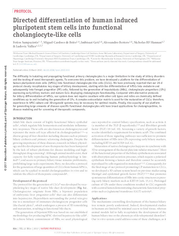 Directed differentiation of human induced pluripotent stem cells into functional cholangiocyte-like cells Thumbnail