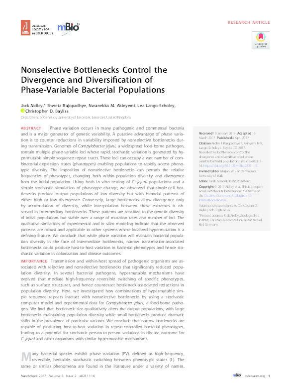 Nonselective Bottlenecks Control the Divergence and Diversification of Phase-Variable Bacterial Populations Thumbnail