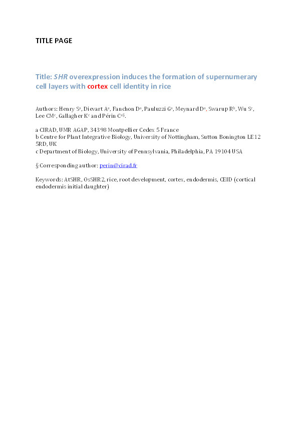 SHR overexpression induces the formation of supernumerary cell layers with cortex cell identity in rice Thumbnail