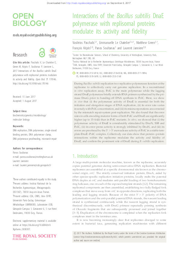 Interactions of the Bacillus subtilis DnaE polymerase with replisomal proteins modulate its activity and fidelity Thumbnail