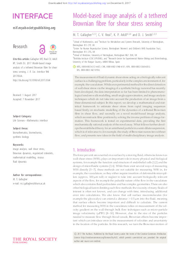 Model-based image analysis of a tethered Brownian fibre for shear stress sensing Thumbnail