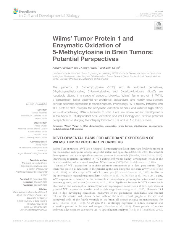Wilms' Tumor protein 1 and enzymatic oxidation of 5-methylcytosine in brain tumors: potential perspectives Thumbnail