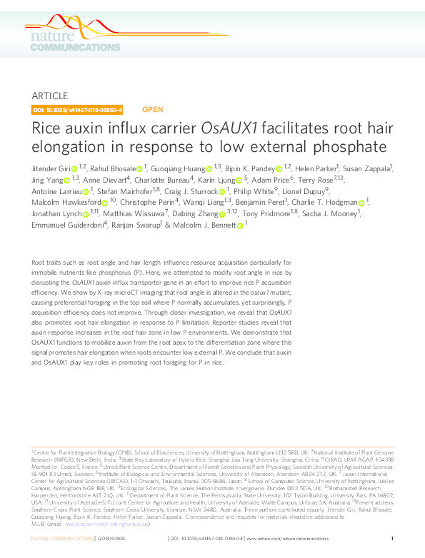 Rice auxin influx carrier OsAUX1 facilitates root hair elongation in response to low external phosphate Thumbnail