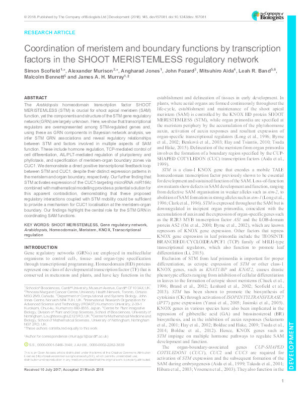 Coordination of meristem and boundary functions by transcription factors in the SHOOT MERISTEMLESS regulatory network Thumbnail