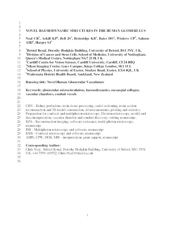 Novel haemodynamic structures in the human glomerulus Thumbnail