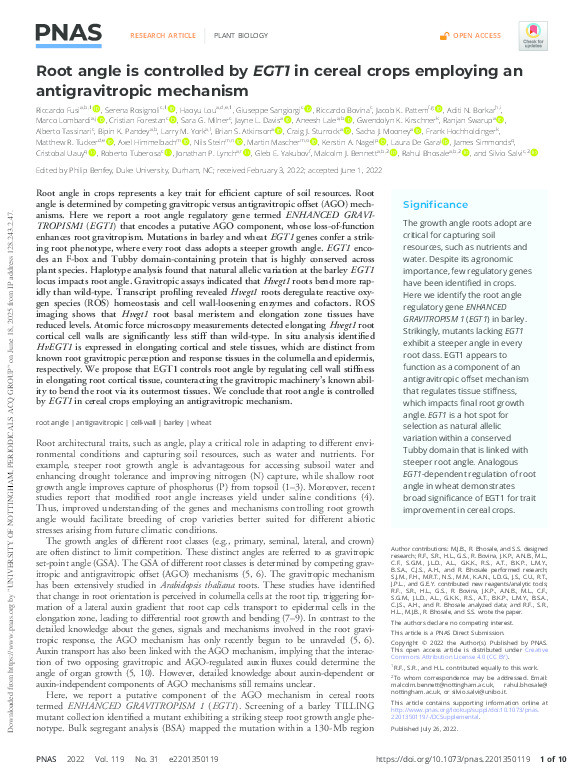 Root angle is controlled by 𝐸𝐺𝑇1 in cereal crops employing an antigravitropic mechanism Thumbnail