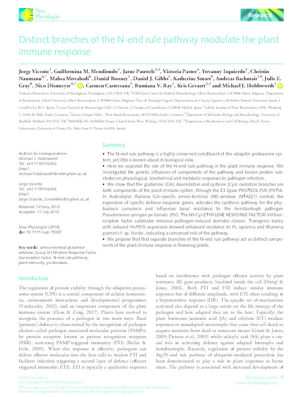 Distinct branches of the N‐end rule pathway modulate the plant immune response Thumbnail