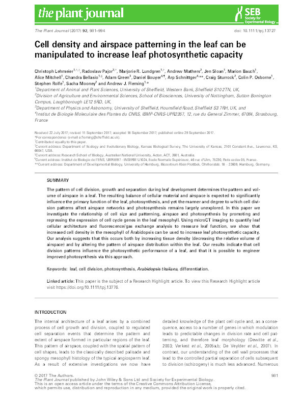 Cell density and airspace patterning in the leaf can be manipulated to increase leaf photosynthetic capacity Thumbnail