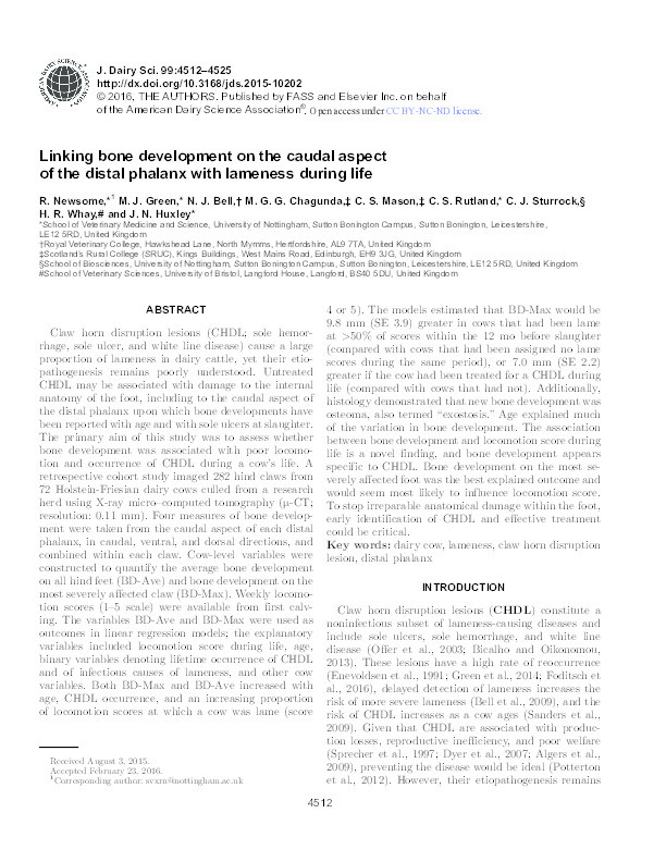 Linking bone development on the caudal aspect of the distal phalanx with lameness during life Thumbnail