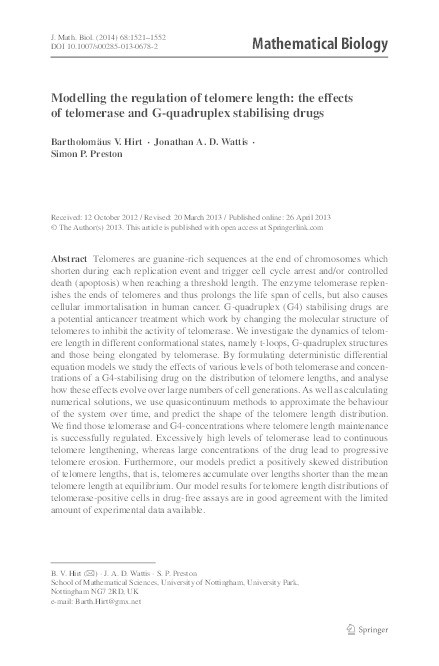 Modelling the regulation of telomere length: the effects of telomerase and G-quadruplex stabilising drugs Thumbnail