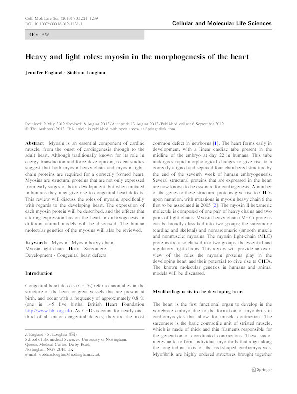Heavy and light roles: myosin in the morphogenesis of the heart Thumbnail