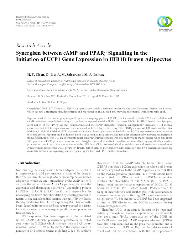 Synergism between cAMP and PPAR? signalling in the initiation of UCP1 gene expression in HIB1B brown adipocytes Thumbnail