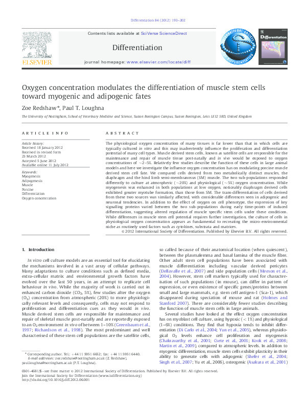 Oxygen concentration modulates the differentiation of muscle stem cells toward myogenic and adipogenic fates Thumbnail