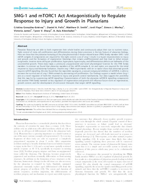 SMG-1 and mTORC1 act antagonistically to regulate response to injury and growth in planarians Thumbnail