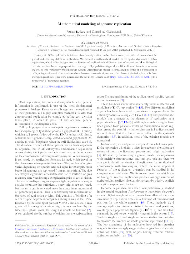 Mathematical modeling of genome replication Thumbnail