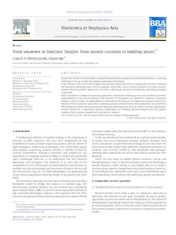 From sequence to function: insights from natural variation in budding yeasts Thumbnail