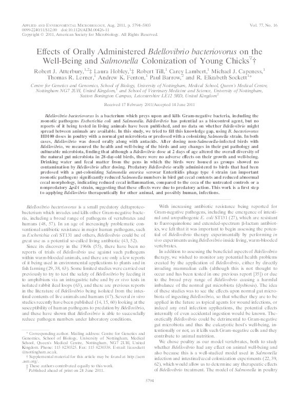 Effects of orally administered Bdellovibrio bacteriovorus on the well-being and Salmonella colonization of young chicks Thumbnail