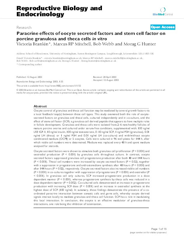 Paracrine effects of oocyte secreted factors and stem cell factor on porcine granulosa and theca cells in vitro Thumbnail