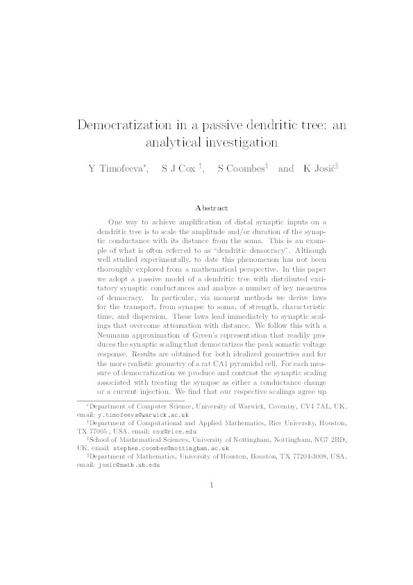 Democratization in a passive dendritic tree: An analytical investigation Thumbnail