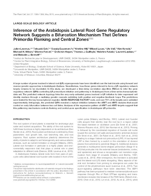 Inference of the Arabidopsis lateral root gene regulatory network suggests a bifurcation mechanism that defines primordia flanking and central zones Thumbnail