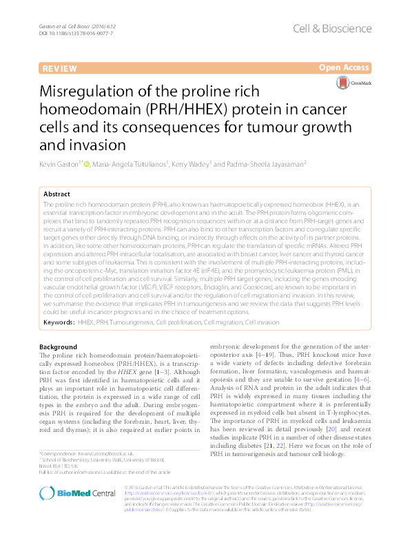 Misregulation of the proline rich homeodomain (PRH/HHEX) protein in cancer cells and its consequences for tumour growth and invasion Thumbnail