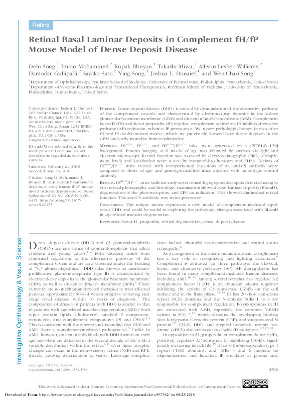 Retinal basal laminar deposits in complement fH/fP mouse model of dense deposit disease Thumbnail