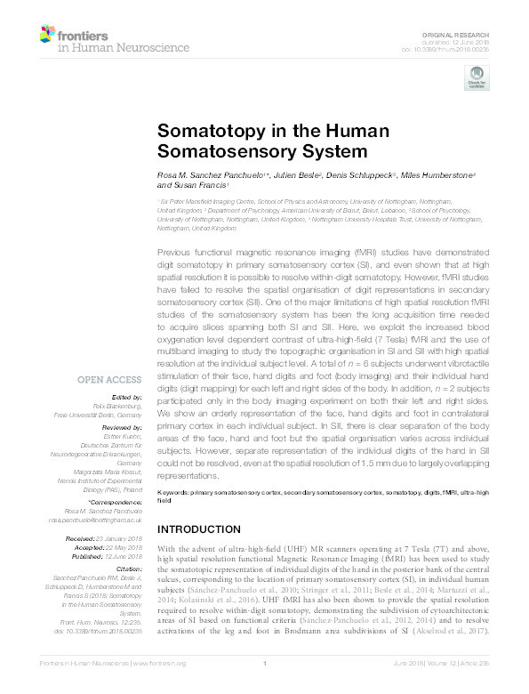 Somatotopy in the human somatosensory system Thumbnail