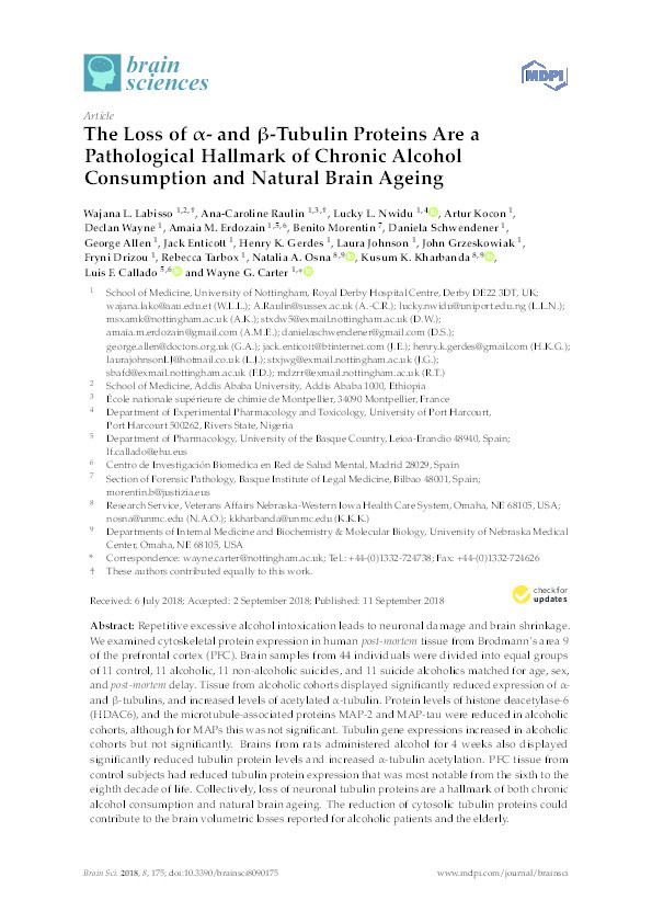 The loss of α- and β-tubulin proteins are a pathological hallmark of chronic alcohol consumption and natural brain ageing Thumbnail
