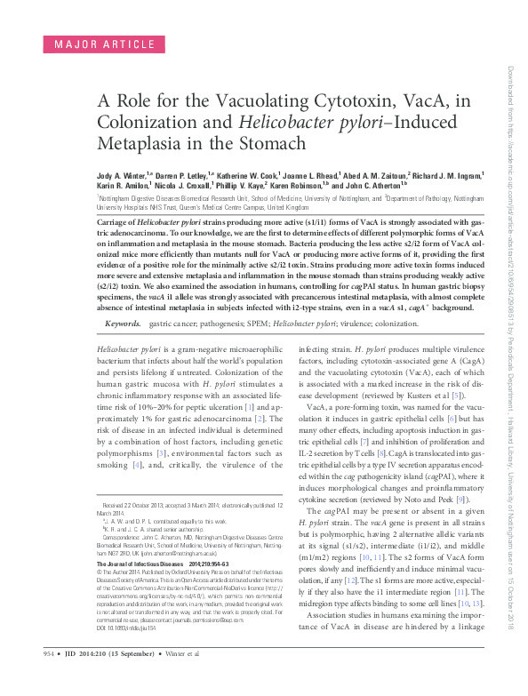 A role for the vacuolating cytotoxin, VacA, in colonisation and Helicobacter pylori-induced metaplasia in the stomach Thumbnail