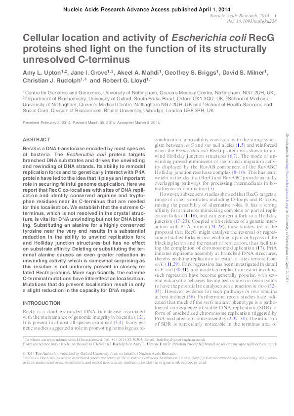 Cellular location and activity of Escherichia coli RecG proteins shed light on the function of its structurally unresolved C-terminus Thumbnail