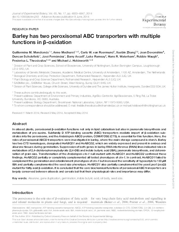 Barley has two peroxisomal ABC transporters with multiple functions in ?-oxidation Thumbnail