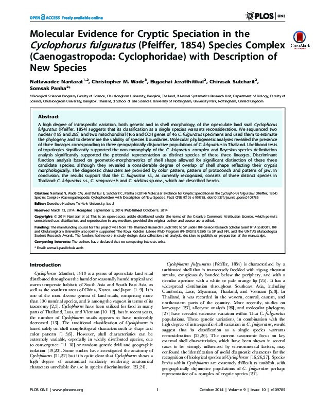 Molecular Evidence for Cryptic Speciation in the Cyclophorus fulguratus (Pfeiffer, 1854) Species Complex (Caenogastropoda: Cyclophoridae) with Description of New Species. Thumbnail